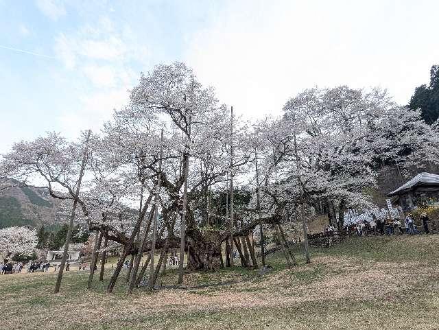 今村山 淡墨観音堂の参拝記録2
