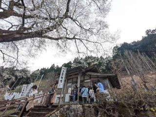 今村山 淡墨観音堂の参拝記録(こびのもぐらさん)