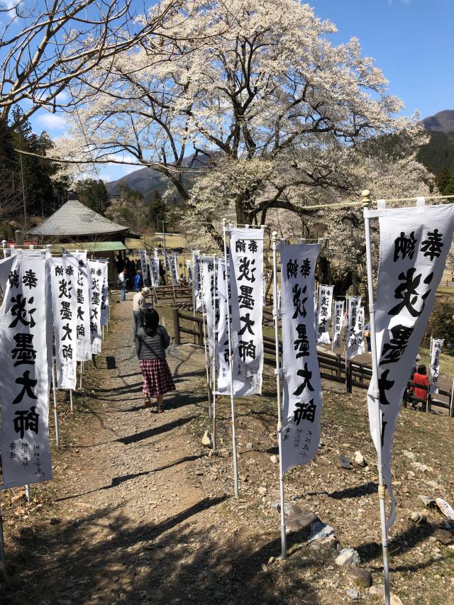 今村山 淡墨観音堂の参拝記録5