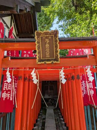 思森稲荷神社の参拝記録(はくすみさん)