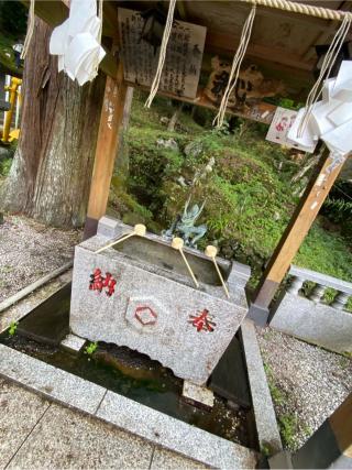 甲子大國神社の参拝記録(チョコバナナさん)