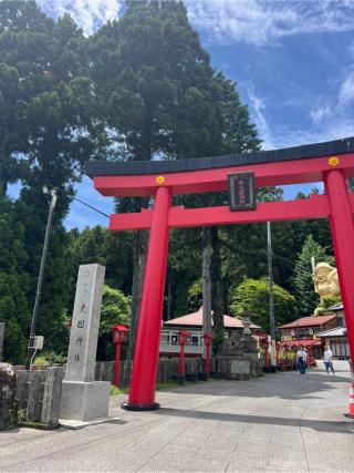 甲子大國神社の参拝記録(⛩️🐍🐢まめ🐢🐍⛩️さん)
