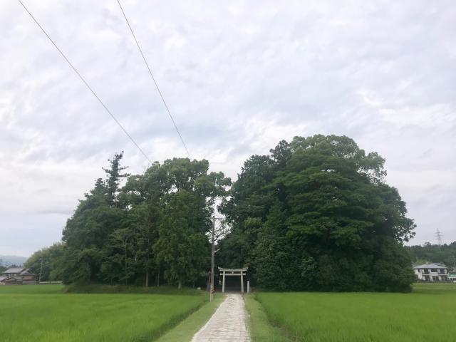 三重県伊賀市依那具字柳原1141 依名古神社の写真2