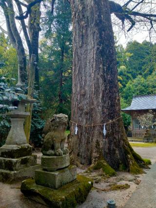 大石見神社の参拝記録(hachiさん)