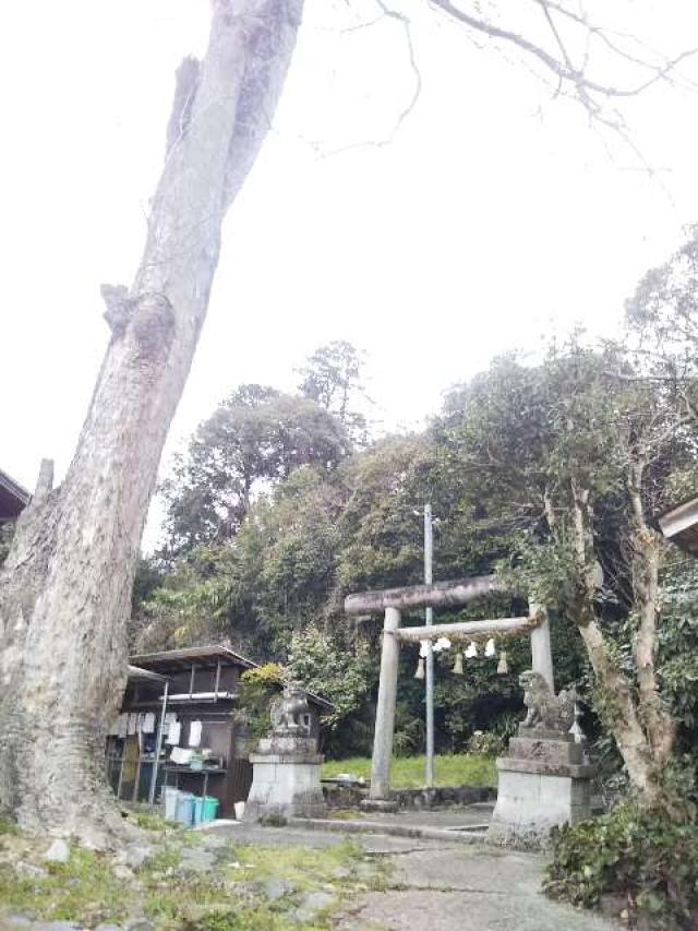 奈良県五條市東阿田町字宮山392 八幡神社 (東阿田)の写真3