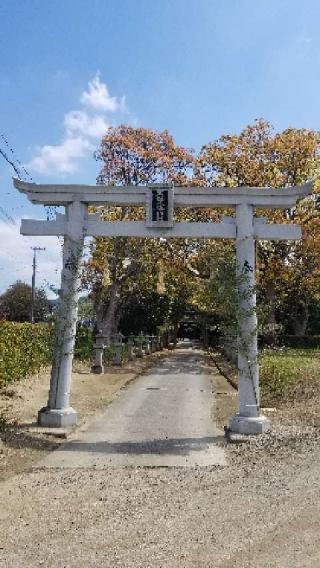五社八幡神社の参拝記録(ろかずさん)