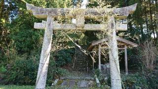 日吉神社の参拝記録(プラティニさん)