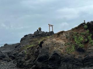 龍蛇神神社の参拝記録(笹だんごさん)