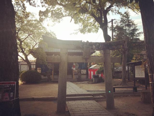 坂本八幡宮の写真1