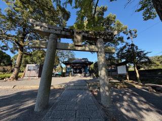 坂本八幡宮の参拝記録(ドラゴンさん)