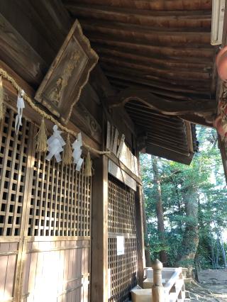 淺木神社の参拝記録(ふるかわさん)