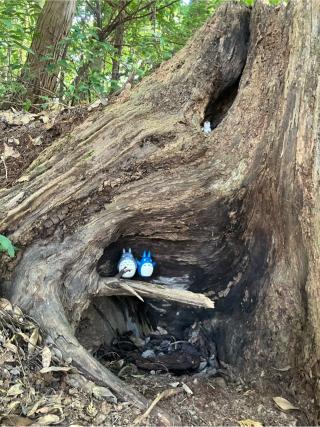 雨宮神社の参拝記録(TOSHIさん)