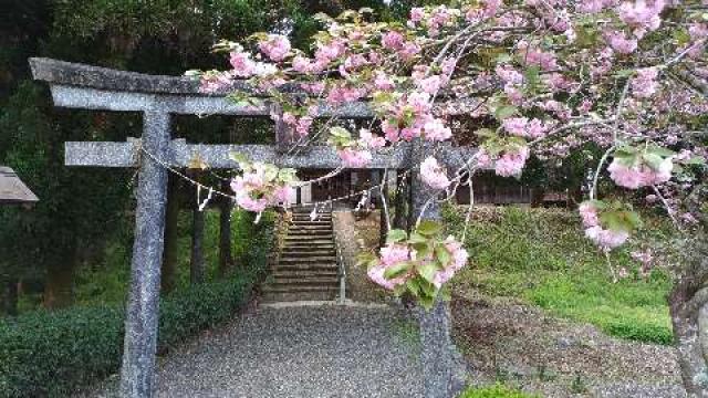 井沢熊野座神社の参拝記録(ruinさん)