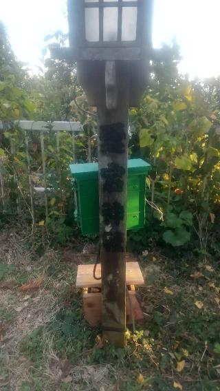 愛宕神社の参拝記録(雪月さん)