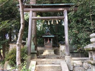 椿井春日神社の参拝記録(すったもんださん)