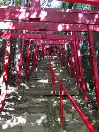 時切稲荷神社の参拝記録(マエユミさん)