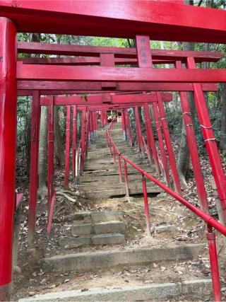 時切稲荷神社の参拝記録(ゆうきさん)