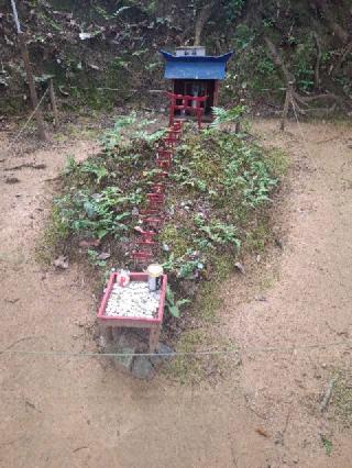 時切稲荷神社の参拝記録(キッシーさん)