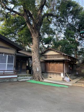 上野毛稲荷神社の参拝記録(⛩️🎠🐢まめ🐢🎠⛩️さん)