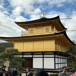 鹿苑禅寺（金閣寺）不動堂の参拝記録(たいがさん)