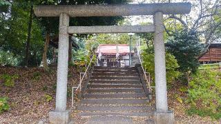 氷川神社の参拝記録(まっちゃんさん)