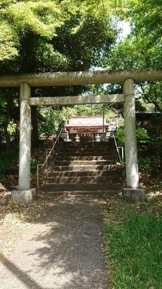 氷川神社の参拝記録(Big-hさん)