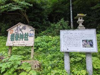 福榮神社の参拝記録(たつのおとしごさん)