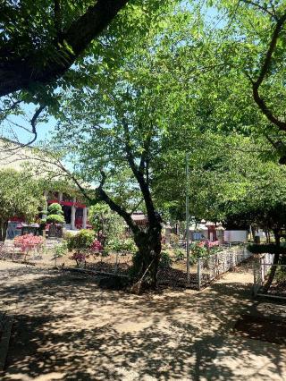 海上山 千葉寺の参拝記録(おざりんさん)