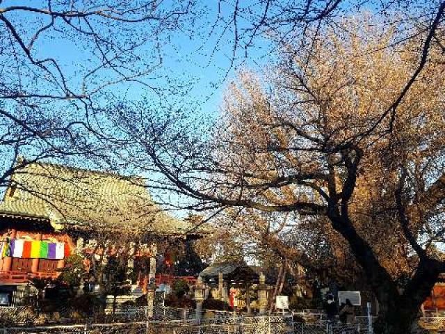 千葉県千葉市中央区千葉寺町161 海上山 千葉寺の写真2