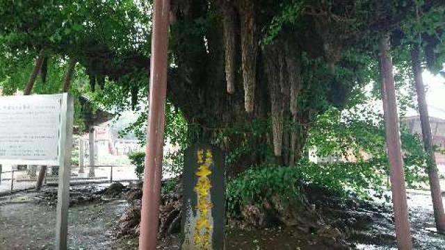 千葉県千葉市中央区千葉寺町161 海上山 千葉寺の写真7