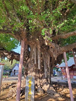 海上山 千葉寺の参拝記録(コージさん)