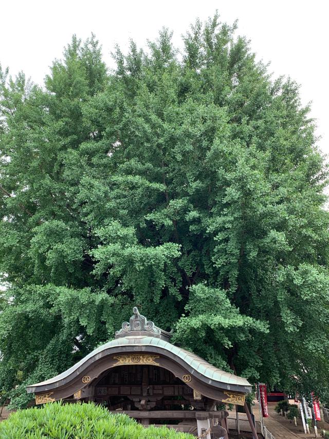 海上山 千葉寺の参拝記録3