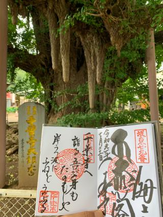 海上山 千葉寺の参拝記録(もと八幡さん)