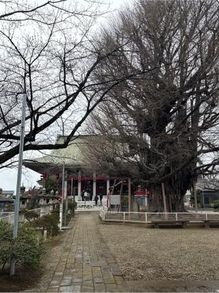 海上山 千葉寺の参拝記録(Ｂ.Ｂ.ＢＯＹさん)