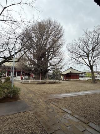 海上山 千葉寺の参拝記録(Ｂ.Ｂ.ＢＯＹさん)