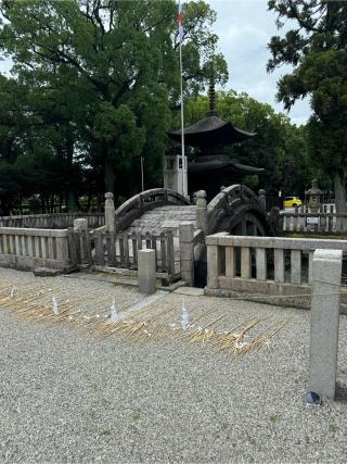 知立神社の参拝記録(チップさん)