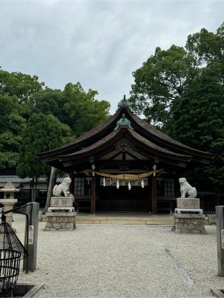 知立神社の参拝記録(チップさん)