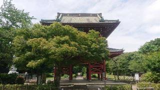 龍澤山 大巌寺の参拝記録(おがおが1262さん)