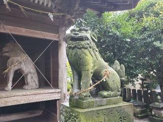 若宮神社の参拝記録(飛成さん)