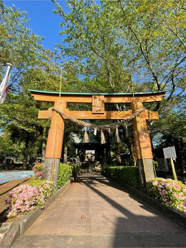 若宮神社の参拝記録3