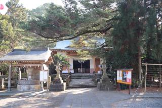 辺田見若宮神社の参拝記録(ドラゴンさん)