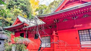 江島神社 中津宮の参拝記録(オトギリルさん)
