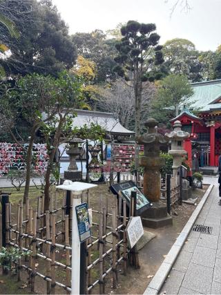 江島神社 中津宮の参拝記録(⛩️🐍🐢まめ🐢🐍⛩️さん)