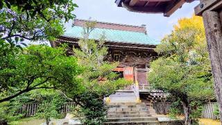 奥津宮（江島神社）の参拝記録(オトギリルさん)