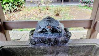 奥津宮（江島神社）の参拝記録(オトギリルさん)