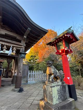 奥津宮（江島神社）の参拝記録(マ　ノ　さん)