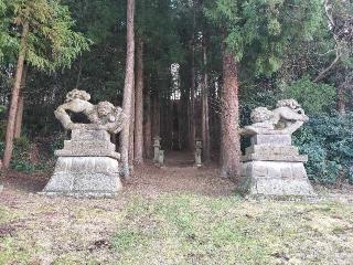 国津神社の参拝記録(さとみさん)