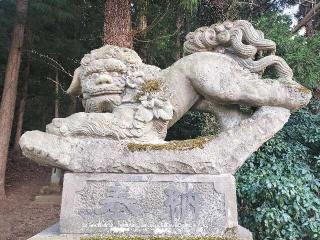 国津神社の参拝記録(さとみさん)