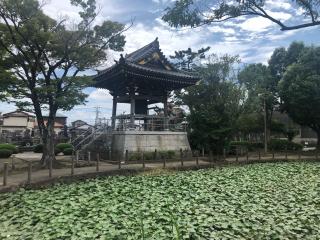 如意山 本行寺の参拝記録(コバルトブルーさん)