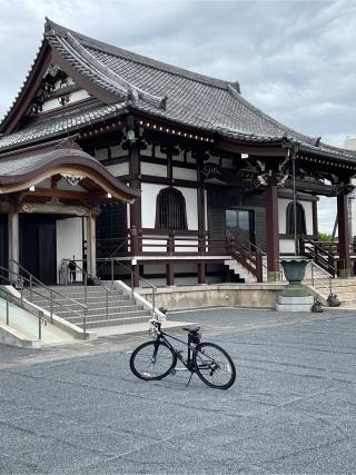 如意山 本行寺の参拝記録(のぼちゃんさん)